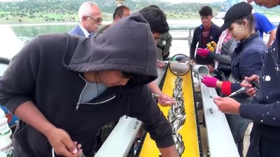 kazanci - Üniversite öğrencileri günde 50 bin balık aşılıyor - YOZGAT  Videosu
