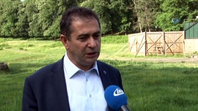 sayilar -  İstanbul'un göbeğinde geyik üretim çiftliği  Videosu