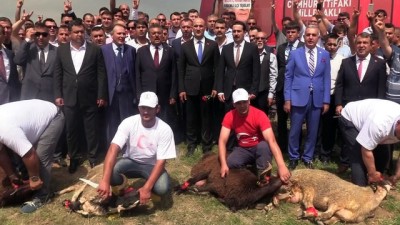 kurban kesimi - MHP Mersin Milletvekili adayları partililerle buluştu Videosu