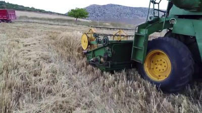 batin - Arpa hasadı verimsiz başladı - GAZİANTEP  Videosu