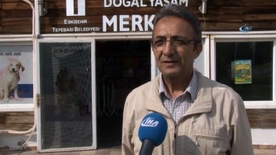 diyalog -  Barınağın yeni gözdesi yavru tilkilere özel ilgi  Videosu