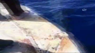 balina -  Fethiye'de balina görüldü  Videosu