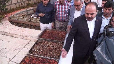 iftar sofrasi - 'Sakin şehrin' meyve yemekleri iftarda sunuldu - ŞANLIURFA  Videosu