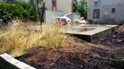 elektrik diregi - Yılan korkusu yangın çıkarttı - ANTALYA  Videosu