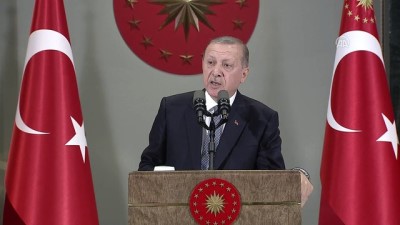 Cumhurbaşkanı Erdoğan: 'Kurdaki dalgalanma sadece ülkemizle ilgili değildir, küresel düzeyde yaşanan bir sorundur' - ANKARA