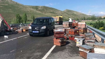 trafik polisi - Devrilen tırdaki arı kovanları karayoluna saçıldı - BAYBURT  Videosu