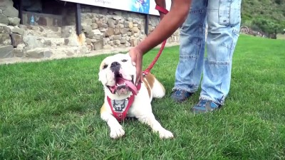 gokyuzu - Köpeğiyle beraber gökyüzüyle buluştu - TEKİRDAĞ  Videosu