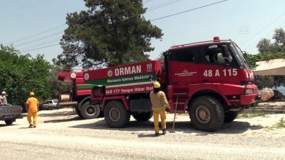 orman yangini - Muğla'da orman yangını (2) Videosu