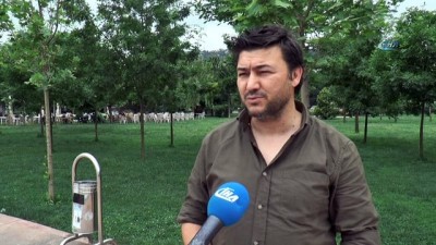 eziler -  Şehir magandaları 1 km'lik sahilde tüm çöp kutularına zarar verdi  Videosu