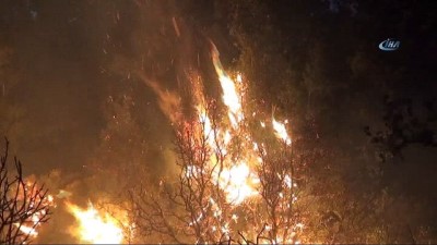  Seydikemer'de orman yangını: 20 hektar alan yandı