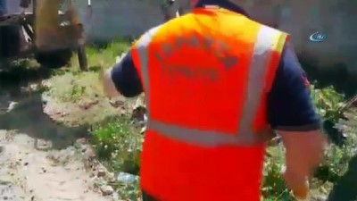 sparta -  Isparta’da çukura düşen at kepçeyle kurtarıldı  Videosu