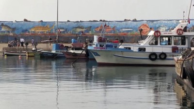 girgir - Karadeniz'de kıyı avcılığı - DÜZCE Videosu