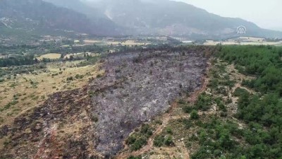 buyuk felaket - Muğla'daki orman yangını Videosu