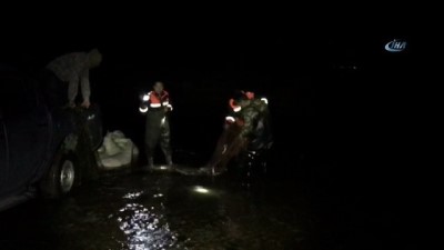 inci kefali -  Van Gölü’nde kaçak inci kefali operasyonu  Videosu