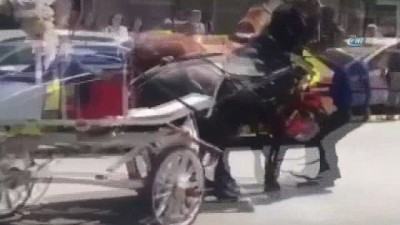 fayton -  Faytona koşturulan at, aşırı sıcaktan yere yığıldı...Vatandaşlar tepki gösterdi  Videosu