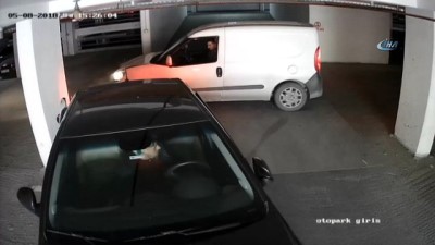 direksiyon -  İstanbul’da görünmez trafik kazaları kamerada  Videosu