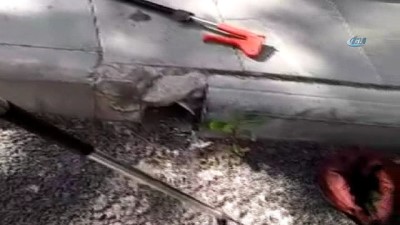 sparta -  İtfaiyeden yılan operasyonu  Videosu