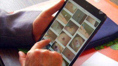 hayvancilik - Keneden koruyan basit ama etkili yöntemler - SİVAS  Videosu