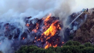 sigara izmariti -  Ayvalık’ta çöplük yangını ormanlık alana sıçramadan güçlükle kontrol altına alındı  Videosu