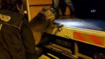 tahkikat -  Van'da 105 kilo eroin ele geçirildi  Videosu
