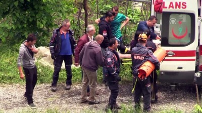 Fındık bahçesine devrilen otomobilin sürücüsü yaralandı - ZONGULDAK 