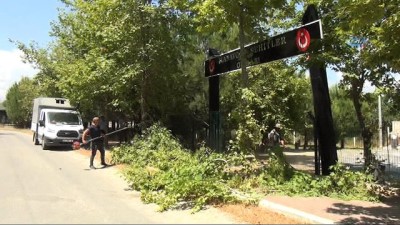  Büyükşehir Belediyesi, Şehitler Ormanı’na sahip çıktı