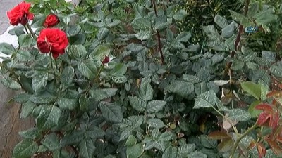 yagan -  Şanlıurfa’ya çamur yağdı Videosu