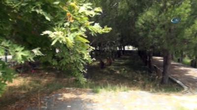 mermi -  Şehitler Ormanı kaderine terk edildi  Videosu