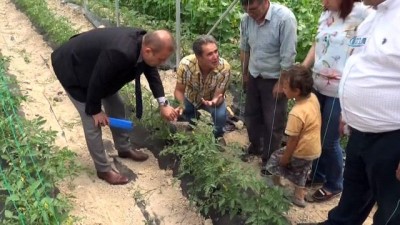 hayvancilik -  Aksaray’da seracılık hızla gelişiyor  Videosu