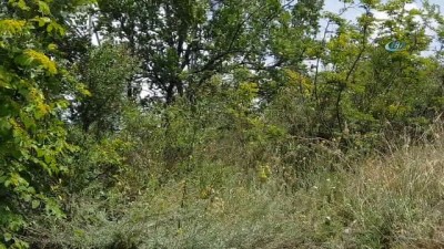 kacak kazi -  Kastamonu’da 8 kaçak define avcısı suçüstü yakalandı Videosu