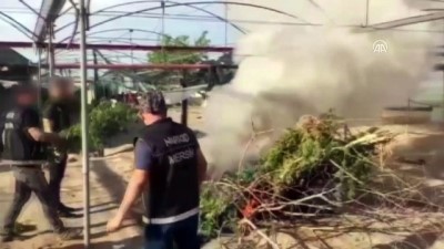 Seraya uyuşturucu operasyonu - MERSİN 