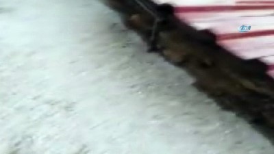  Alaşehir'de dolu ekili arazileri vurdu 