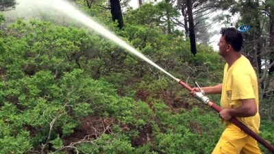 is makinesi -  Hatay’daki orman yangını büyük oranda kontrol altına alındı Videosu