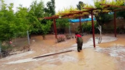 buyukbas hayvan -  Şanlıurfa’da sel yine hasara neden oldu Videosu
