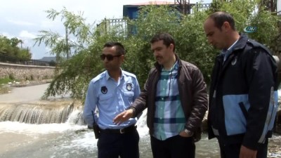inci kefali -  İnci kefalleri bu kez şehir merkezine göç etti  Videosu