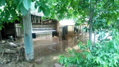 tarim arazisi -  Şiddetli yağmur seli beraberinde getirdi, ev ve araçlar sular altında kaldı  Videosu