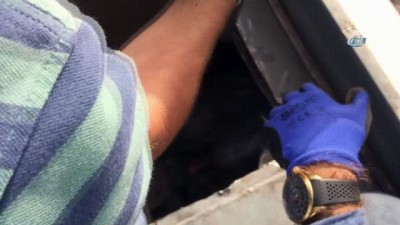  Mersin'de 400 kilo esrar ele geçirildi 