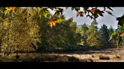 fragman - Sinema - Ahlat Ağacı - İSTANBUL  Videosu