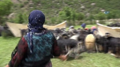 sonbahar -  Terör yüzünden gidilemiyordu, şimdi kuzu sesleri yükseliyor  Videosu