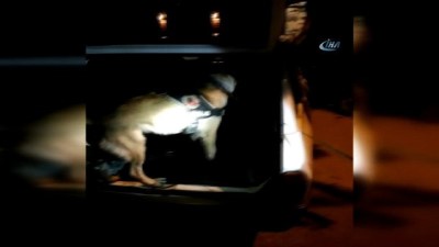  Bodrum'da uyuşturucu operasyonu: 2 tutuklama 