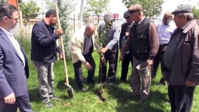 kahramanlik - Halisdemir anısına fidanlar toprakla buluşturuldu - NİĞDE Videosu