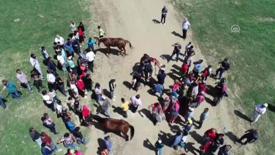 at yarislari - 'Kakava Şenlikleri' at yarışlarında kaza - EDİRNE  Videosu