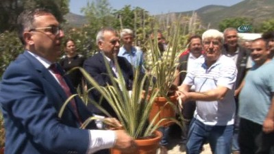 kooperatif -  Bayındır'dan Hollanda'ya çiçek  Videosu