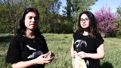 halkali - Bülbülün ömrü Türkiye yolunda geçti - ANKARA  Videosu
