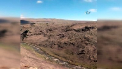  Domuz sürüsü böyle görüntülendi 