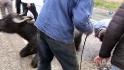  Kazayı görüp durdular, kazazede oldular: 1'i ağır 3 yaralı