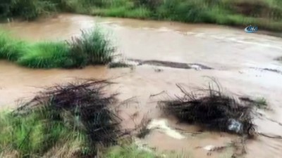 yagan -  Sarıgöl’de bağlar dolu yağışından zarar gördü Videosu