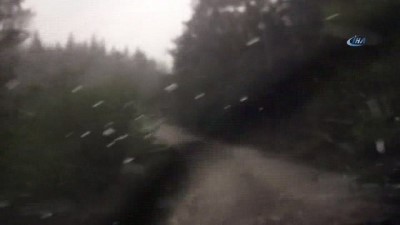 internet sitesi -  Ordu'nun yüksek kesimlerine dolu yağdı  Videosu