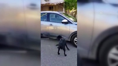 Uyuşturucu operasyonu - ANTALYA 