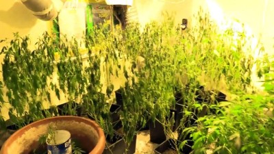 Uyuşturucu operasyonu - İSTANBUL 